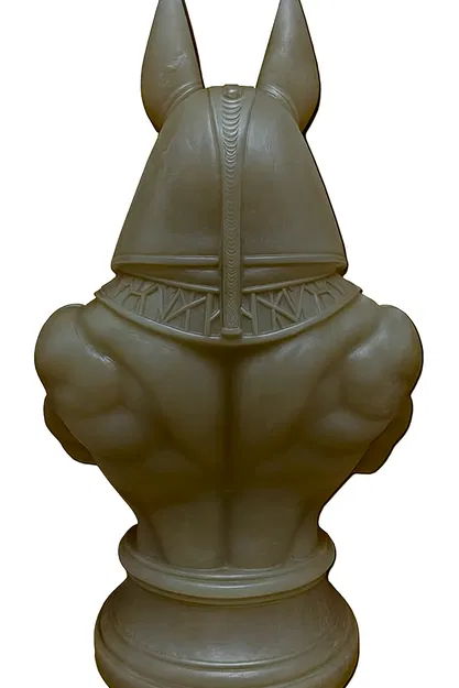 the Anubis - Image 4