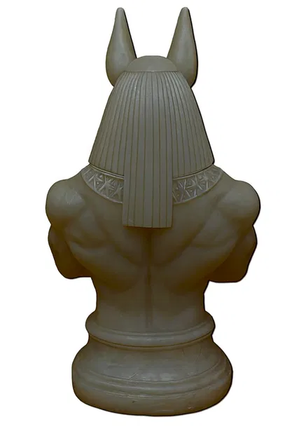 the Anubis - Image 5