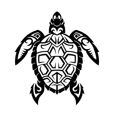 Turtle – Tấm ốp tường trang trí