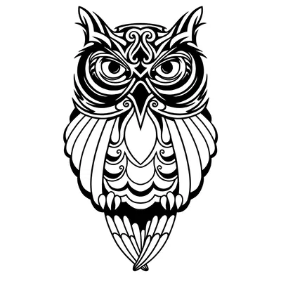 Cú mèo (Owl)