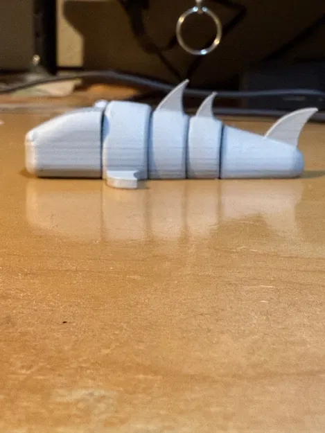 Cá voi khớp nối (Articulated Whale) - Image 3