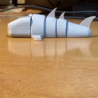 Cá voi khớp nối (Articulated Whale)