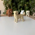 Golden Retriever (Chó Golden lông vàng) - Thumbnail 1