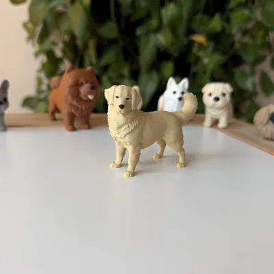 Golden Retriever (Chó Golden lông vàng)