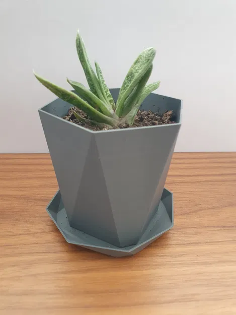 Chậu cây mặt cắt (Faceted plant pot) - Image 1