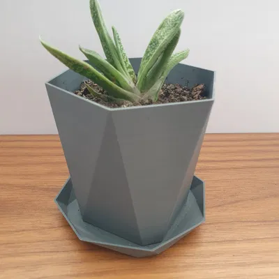 Chậu cây mặt cắt (Faceted plant pot)