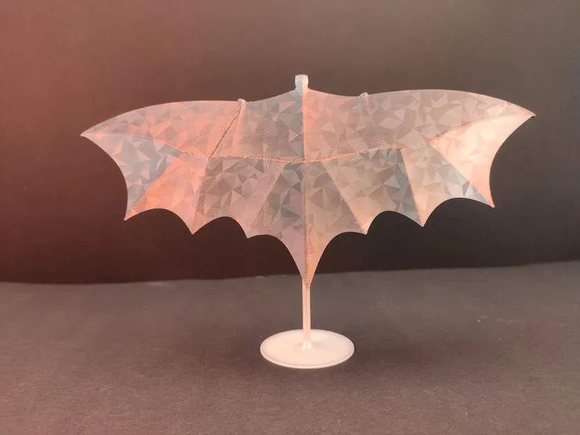 Gliding Batman (Batman Lượn) - Image 3