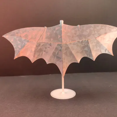 Gliding Batman (Batman Lượn)