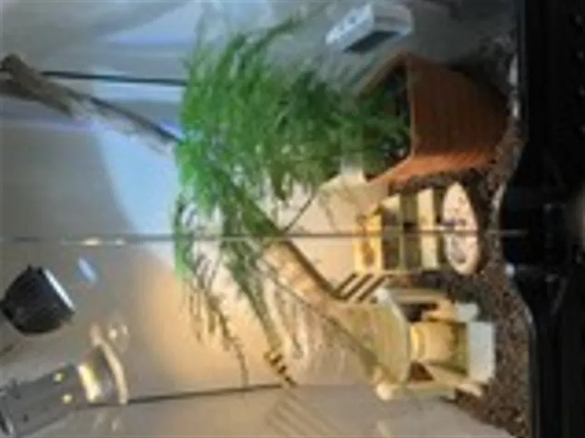 Bình Cấp Nước Tự Động Cho Bò Sát - Image 1