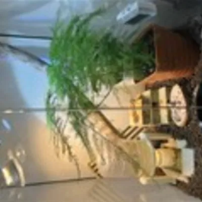 Bình Cấp Nước Tự Động Cho Bò Sát