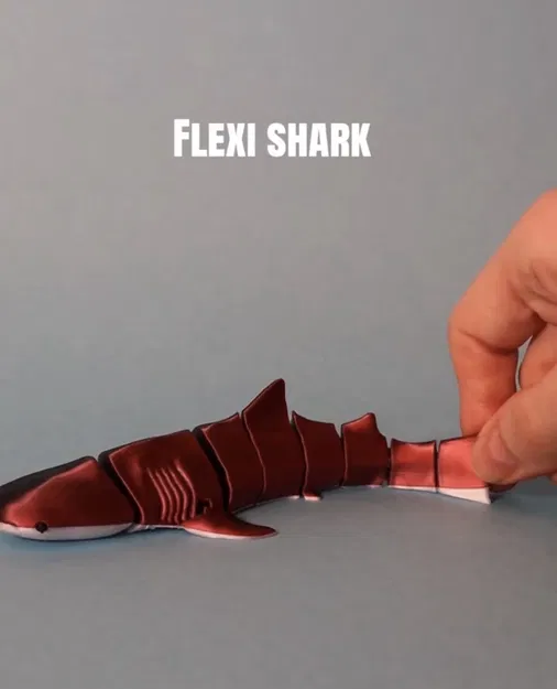 Flexi Whaleshark – Cá mập voi khớp nối - Image 1