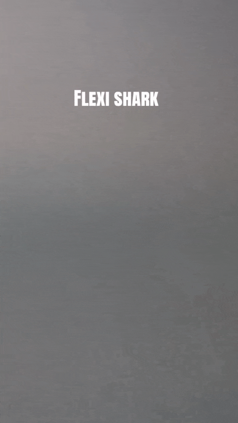 Flexi Whaleshark – Cá mập voi khớp nối - Thumbnail 2
