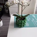 Flowerpot Bubble - Chậu hoa trang trí - Thumbnail 1