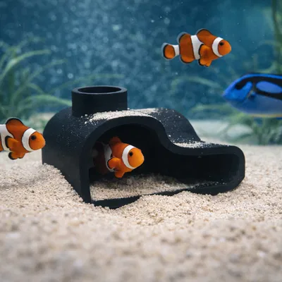 Cổng Hang Động Nước Aqua (Aqua Cave Portal)