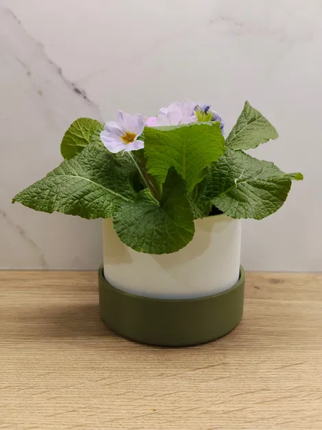 Classic plater (plain) – Chậu cây tối giản - Image 1