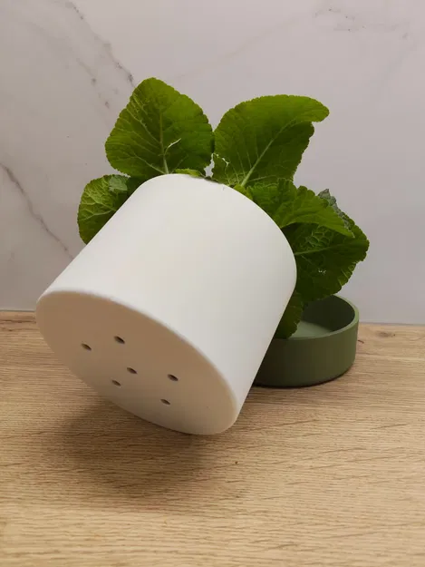 Classic plater (plain) – Chậu cây tối giản - Image 2