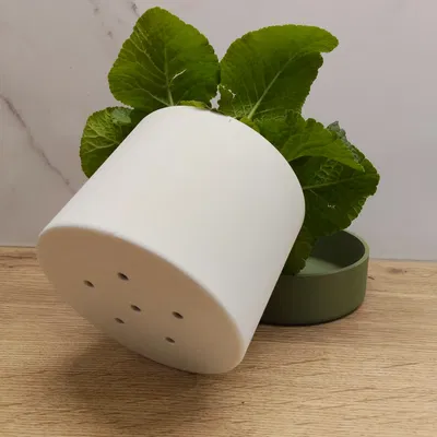 Classic plater (plain) – Chậu cây tối giản