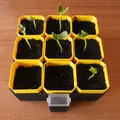 Bộ Ươm Hạt Tự Tưới Nhỏ Gọn (Small Self-Watering Seed Starter) - Thumbnail 1