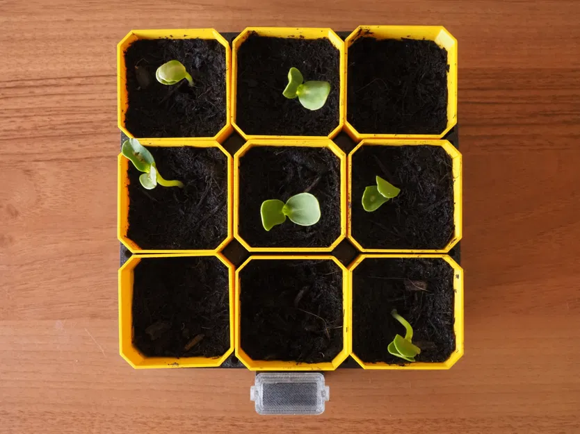 Bộ Ươm Hạt Tự Tưới Nhỏ Gọn (Small Self-Watering Seed Starter) - Image 3