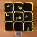 Bộ Ươm Hạt Tự Tưới Nhỏ Gọn (Small Self-Watering Seed Starter) - Thumbnail 3