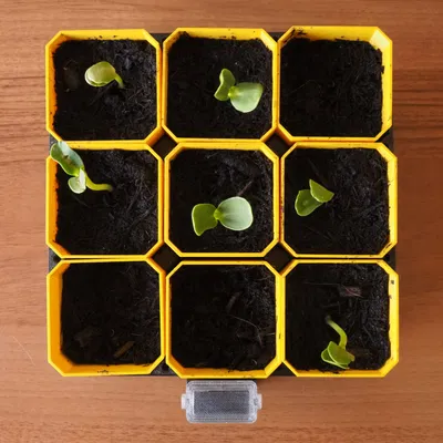 Bộ Ươm Hạt Tự Tưới Nhỏ Gọn (Small Self-Watering Seed Starter)