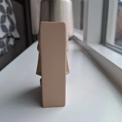 Bình hoa có gương mặt (Vase with faces)