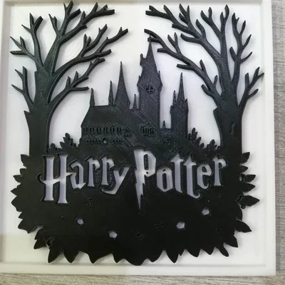 Harry Potter - Khung 17 cm