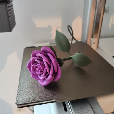 Velvet Petal – Hoa hồng trang trí phong cách hiện đại