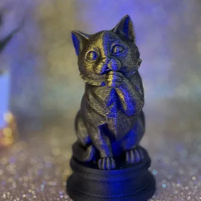 Mèo Dễ Thương (Cute Cat)