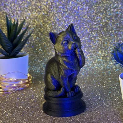 Mèo Dễ Thương (Cute Cat)