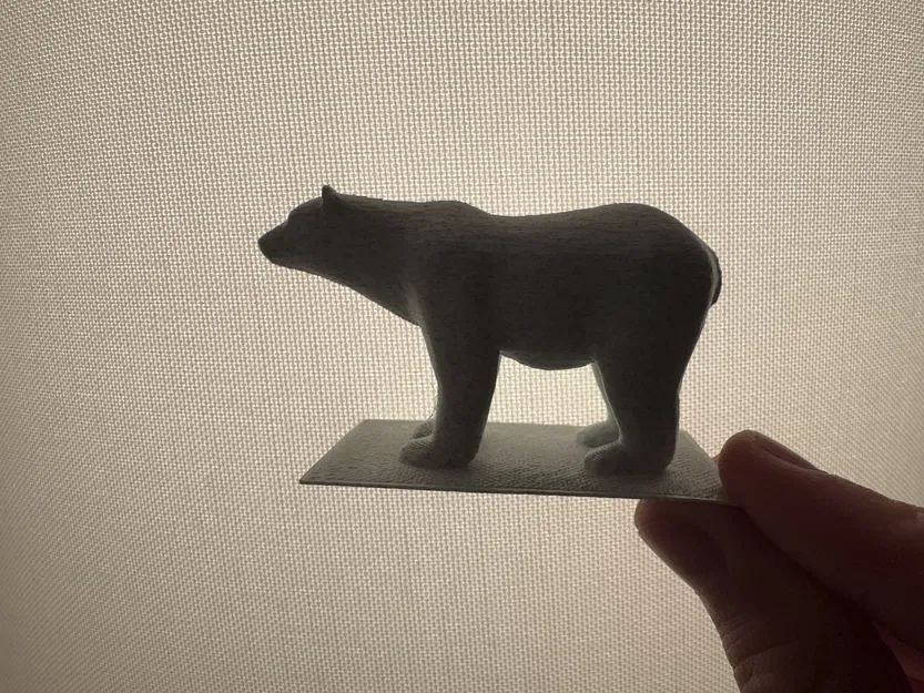 Gấu (Bear) - Image 1