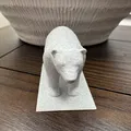 Gấu (Bear) - Thumbnail 6