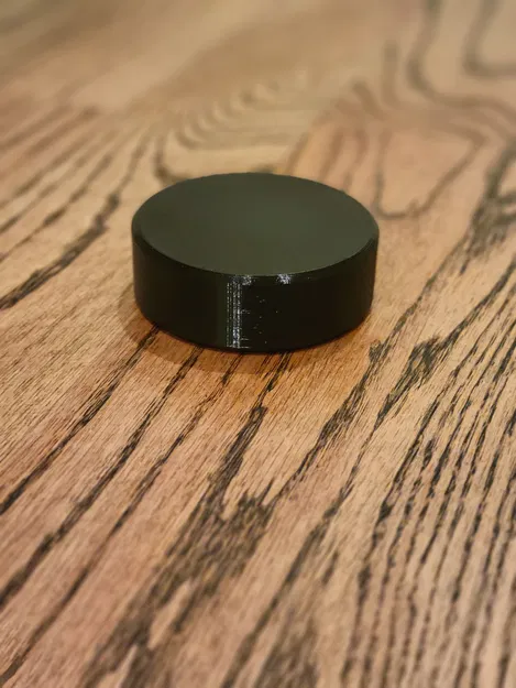 Hockey Puck (Puck khúc côn cầu) kích thước chuẩn - Image 1