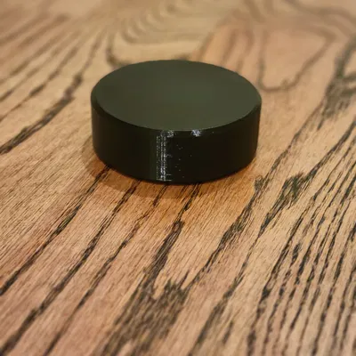 Hockey Puck (Puck khúc côn cầu) kích thước chuẩn