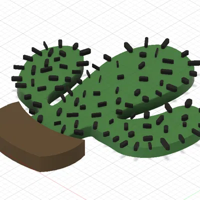 Home stuff – đồ trang trí cho bàn