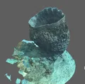 Bọt biển thùng (Xestospongia) - Barrel sponge - Thumbnail 1