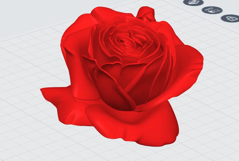 Hoa Hồng (Rose) - Image 2