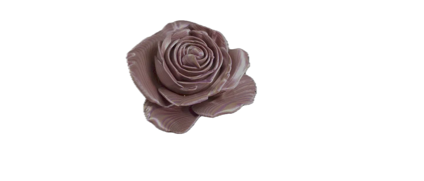 Hoa Hồng (Rose) - Image 5