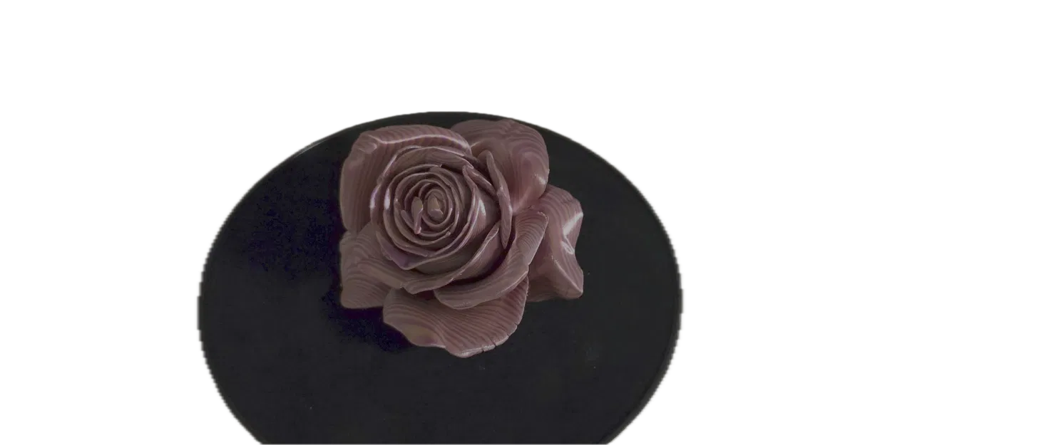 Hoa Hồng (Rose) - Image 7