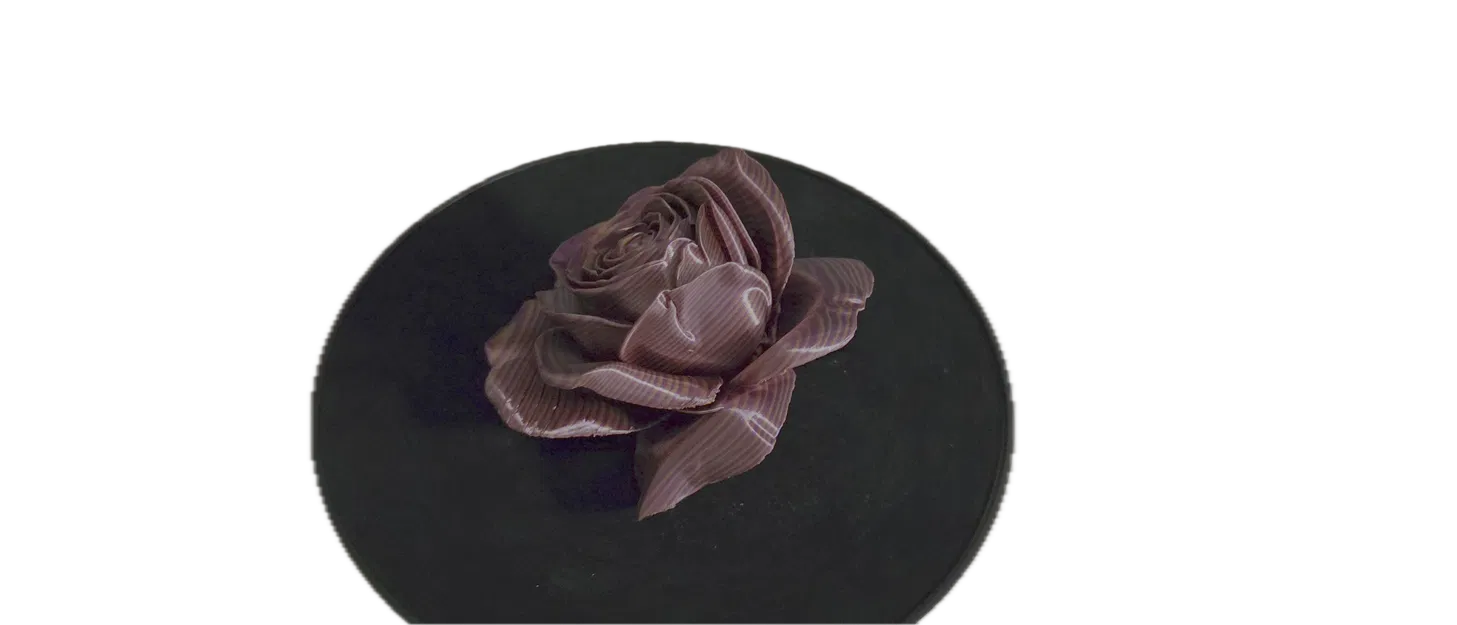 Hoa Hồng (Rose) - Image 8