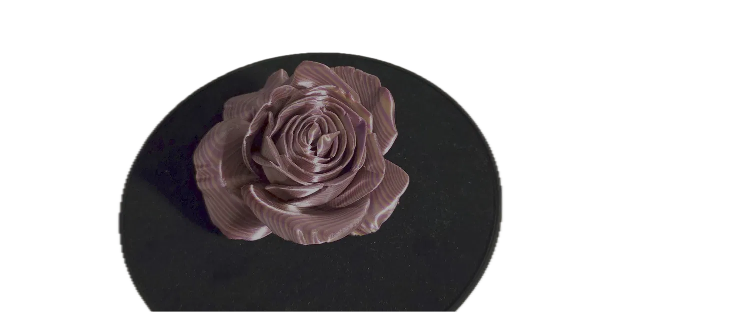 Hoa Hồng (Rose) - Image 9