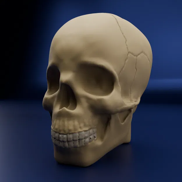 Calavera – Mẫu điêu khắc để sơn - Image 1