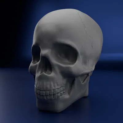 Calavera – Mẫu điêu khắc để sơn