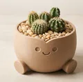 Chậu Cười ♡ – Decor Dễ Thương (Smiling Planter) - Thumbnail 5