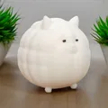 Mèo Mũm Mĩm Dễ Thương (Cute Chubby Cat) - Thumbnail 1