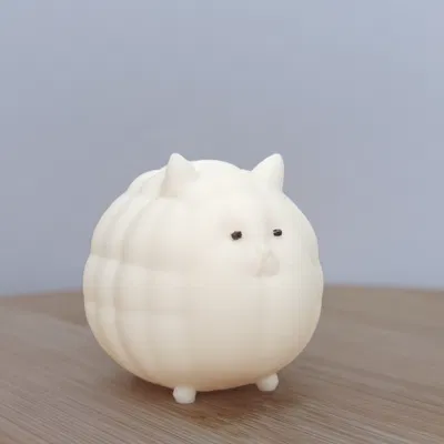 Mèo Mũm Mĩm Dễ Thương (Cute Chubby Cat)