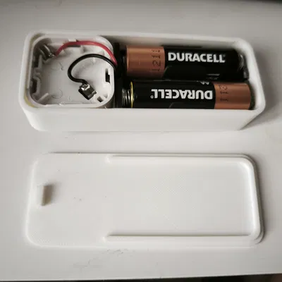 809WZT + hộp pin AA