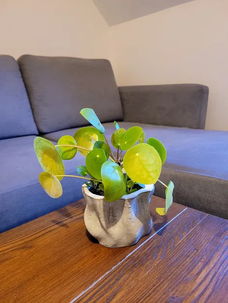 Khuôn Chậu Cây Bằng Bê Tông (Concrete Planter Mold) - Image 1