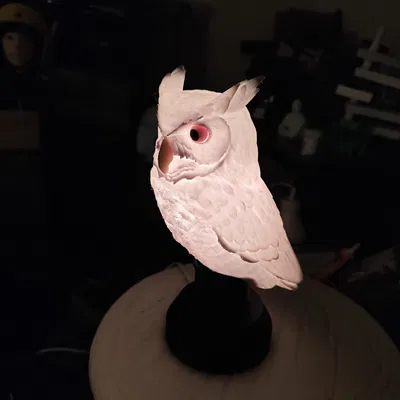 Đèn ngủ cú mèo xinh (Nice Owl Bedside Lamp)