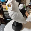 Đèn ngủ cú mèo xinh (Nice Owl Bedside Lamp) - Thumbnail 3